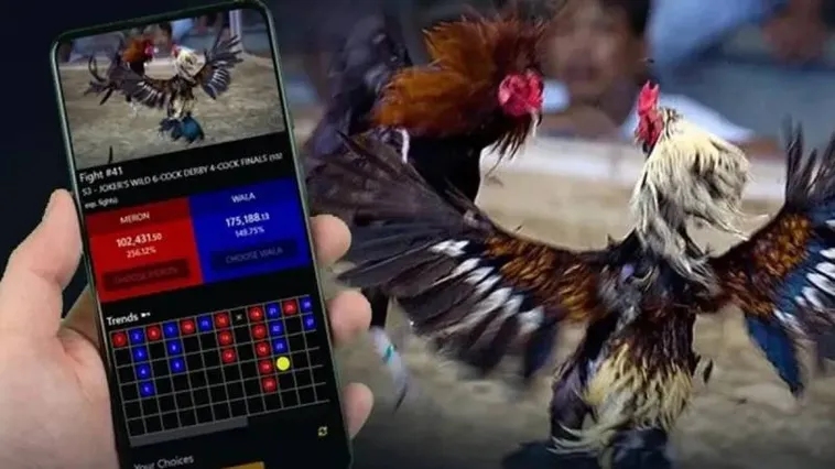 Trải Nghiệm Đỉnh Cao Đá Gà 188Loto Sân Chơi Uy Tín Bậc Nhất